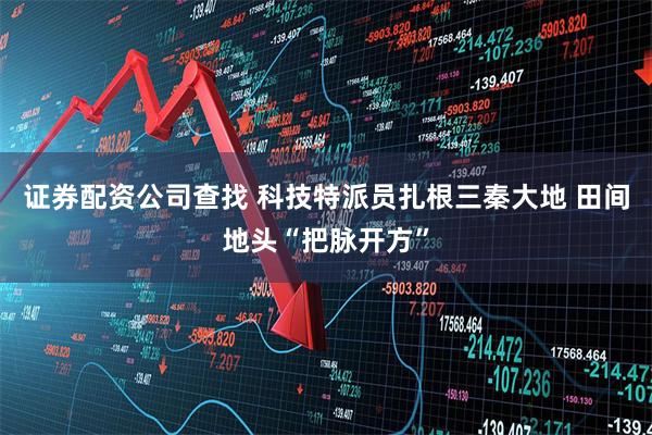 证券配资公司查找 科技特派员扎根三秦大地 田间地头“把脉开方”